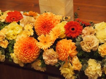 p1013501